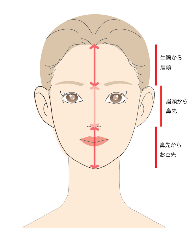 面長と卵型の違いは お顔のかたち徹底解説 Funada Mayu
